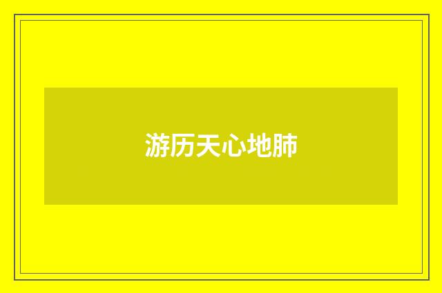游历天心地肺