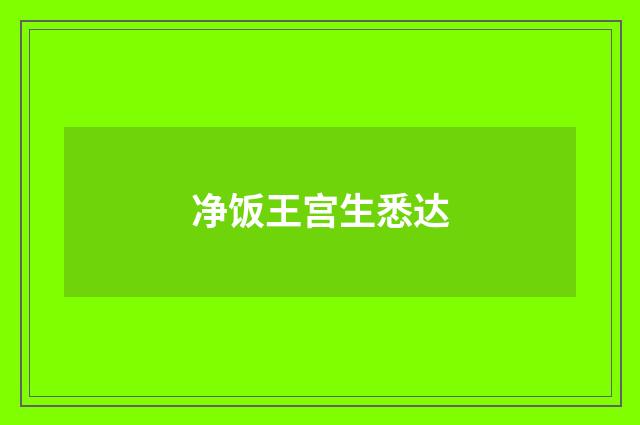 净饭王宫生悉达