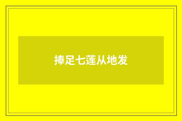 捧足七莲从地发