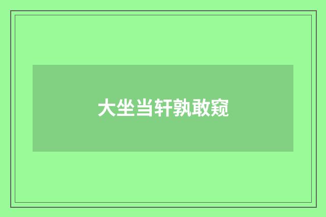 大坐当轩孰敢窥