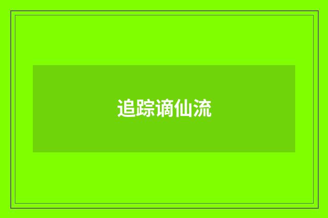 追踪谪仙流