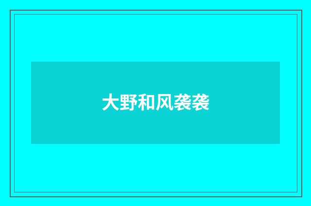 大野和风袭袭