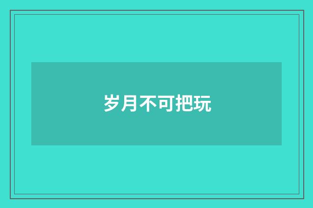 岁月不可把玩