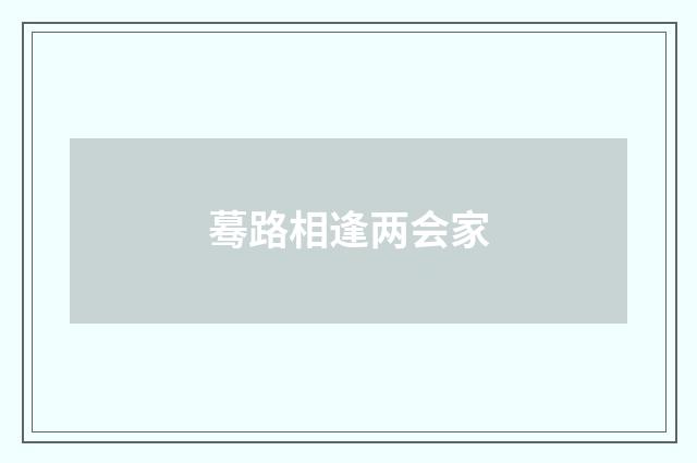 蓦路相逢两会家