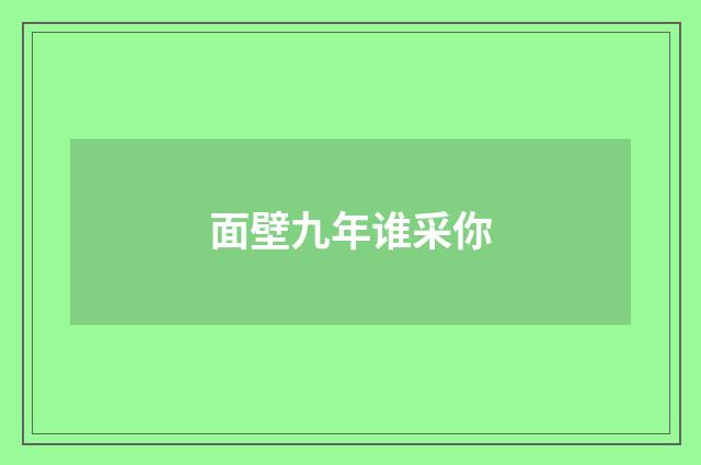 面壁九年谁采你