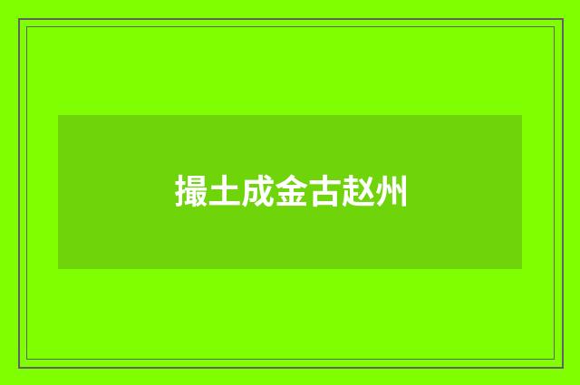 撮土成金古赵州