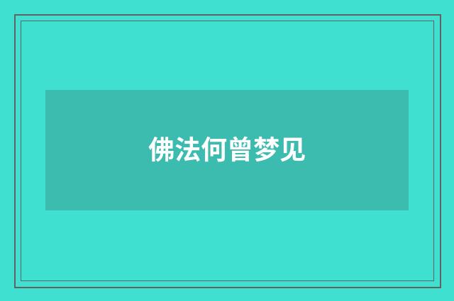佛法何曾梦见