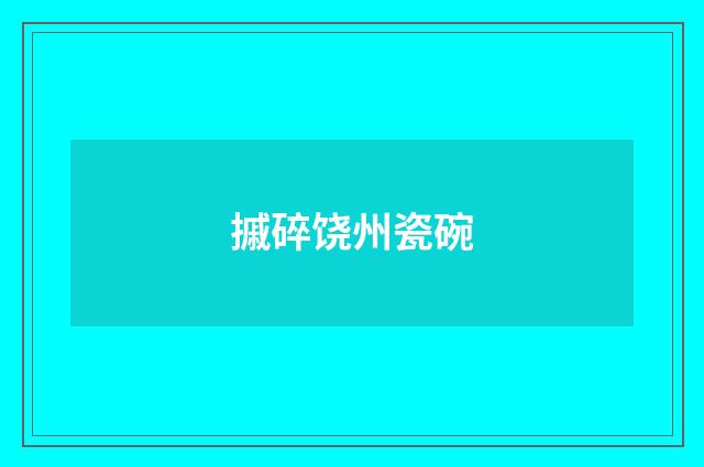 摵碎饶州瓷碗
