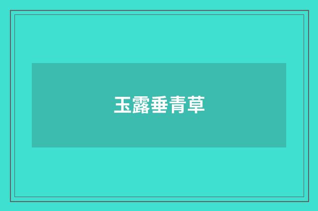 玉露垂青草