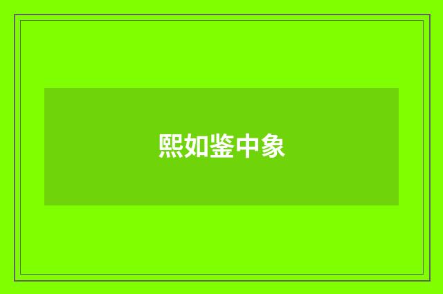 熙如鉴中象
