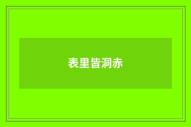 表里皆洞赤