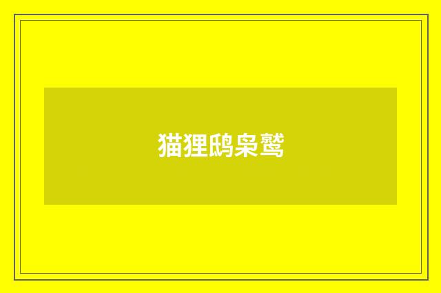 猫狸鸱枭鹫