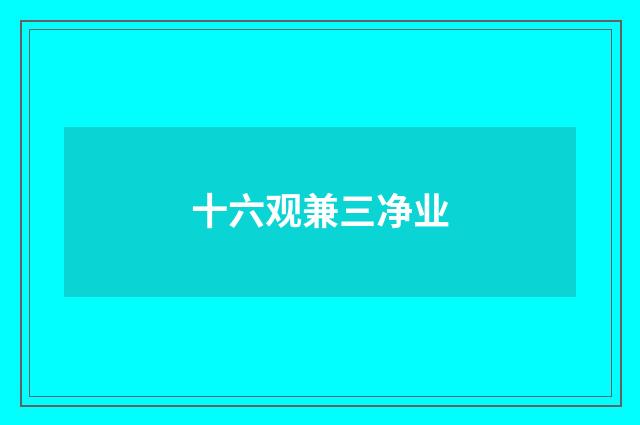十六观兼三净业