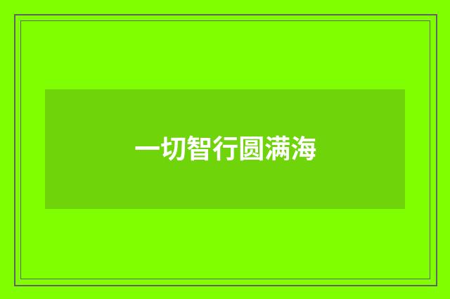 一切智行圆满海