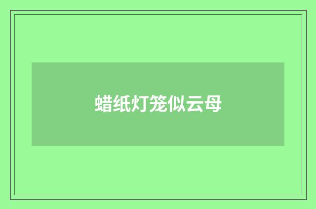 蜡纸灯笼似云母