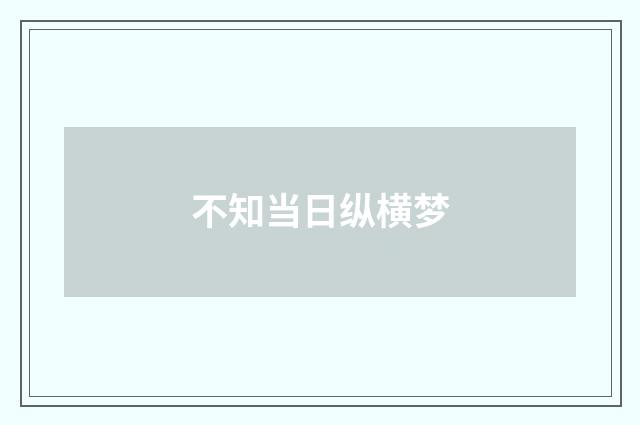 不知当日纵横梦