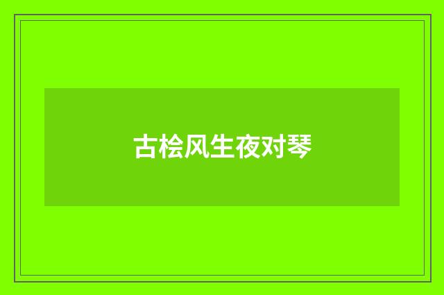 古桧风生夜对琴