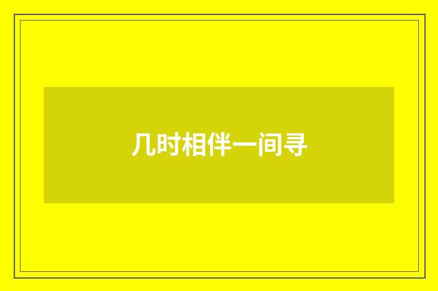 几时相伴一间寻