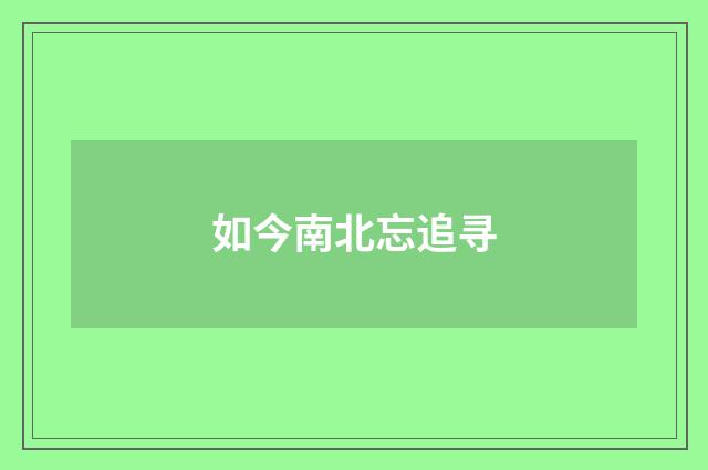 如今南北忘追寻