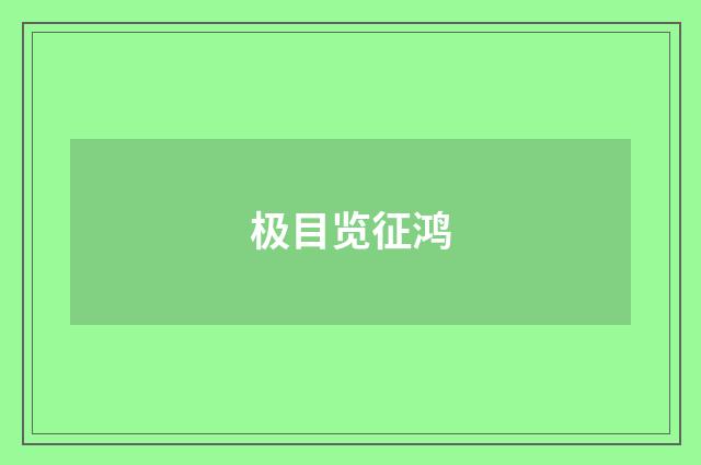 极目览征鸿