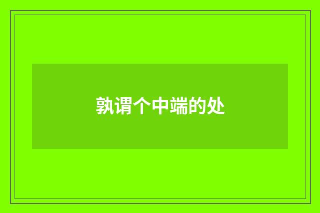 孰谓个中端的处