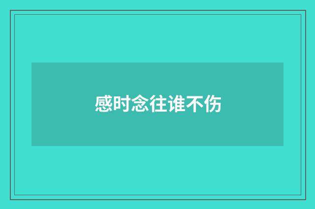 感时念往谁不伤