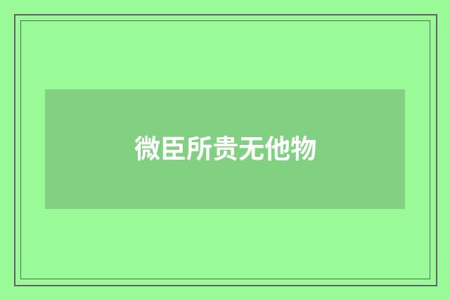 微臣所贵无他物