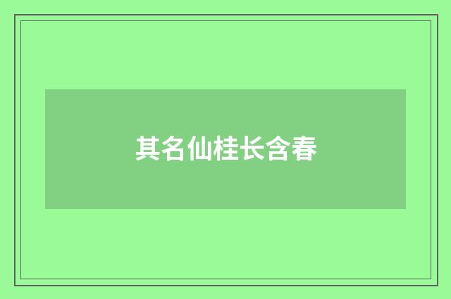 其名仙桂长含春