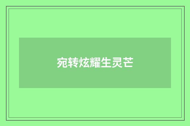 宛转炫耀生灵芒