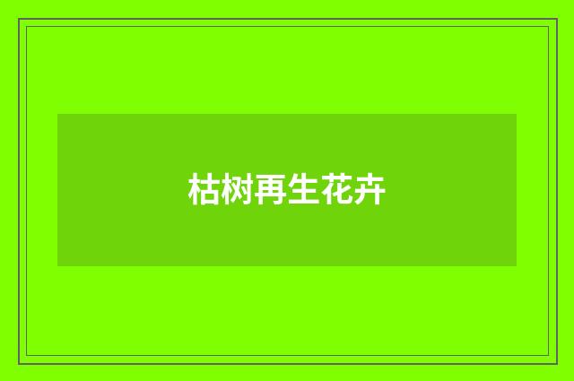 枯树再生花卉