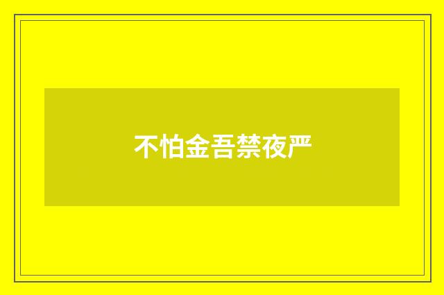 不怕金吾禁夜严