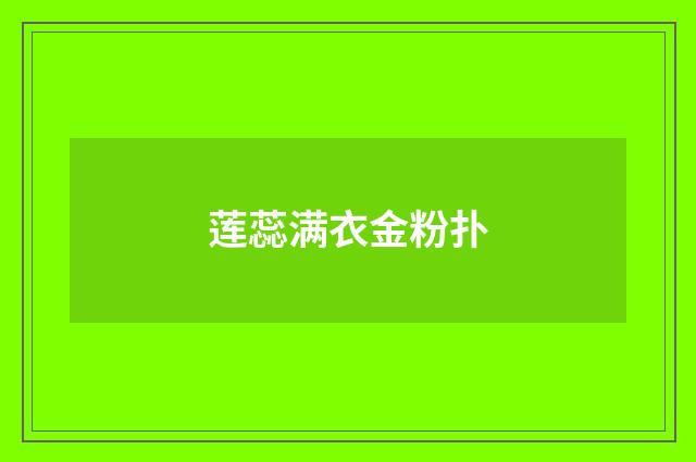 莲蕊满衣金粉扑