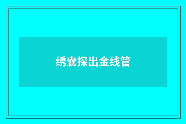 绣囊探出金线管