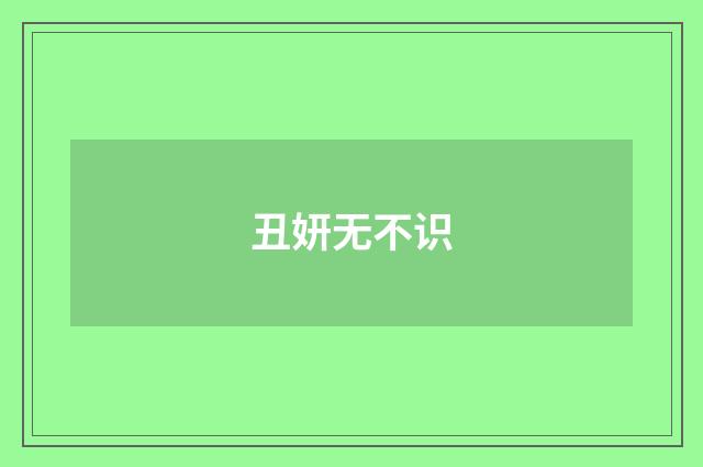 丑妍无不识