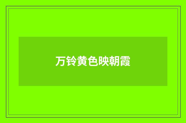 万铃黄色映朝霞