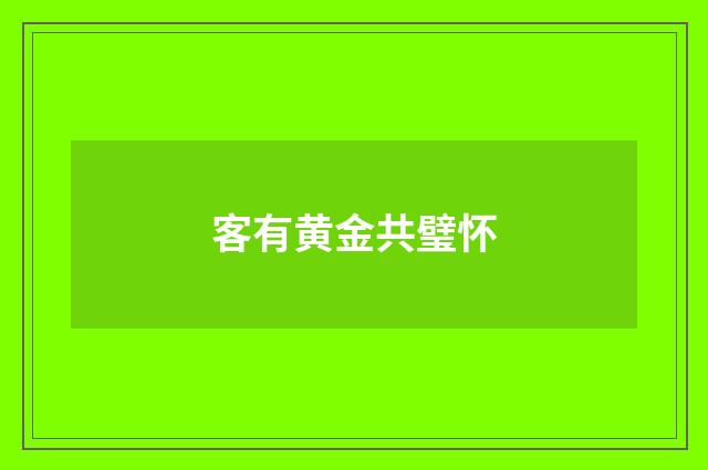 客有黄金共璧怀