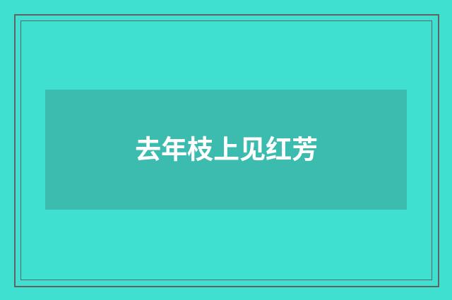 去年枝上见红芳