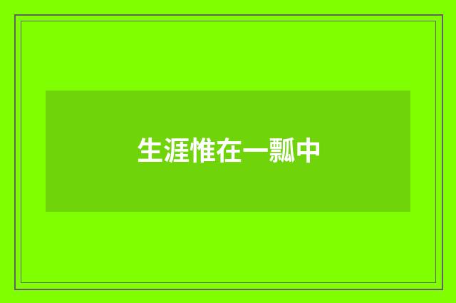 生涯惟在一瓢中