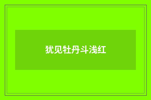 犹见牡丹斗浅红
