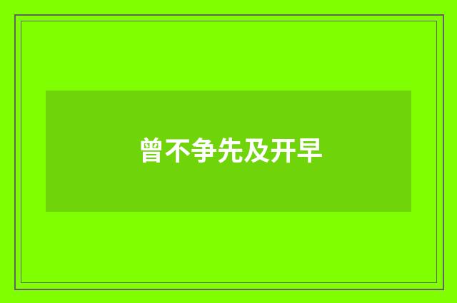 曾不争先及开早