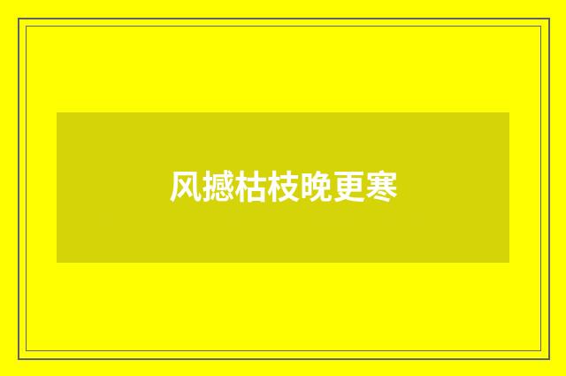 风撼枯枝晚更寒