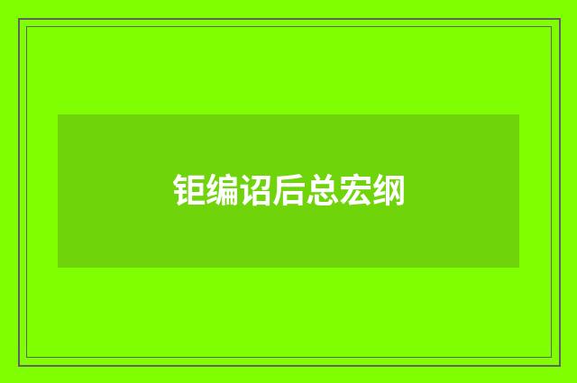 钜编诏后总宏纲