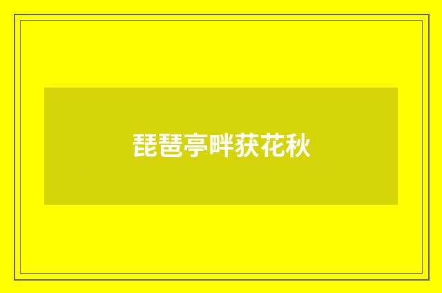 琵琶亭畔获花秋