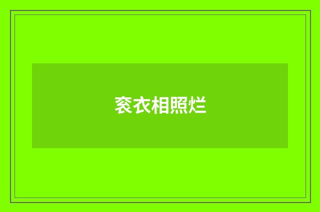 衮衣相照烂