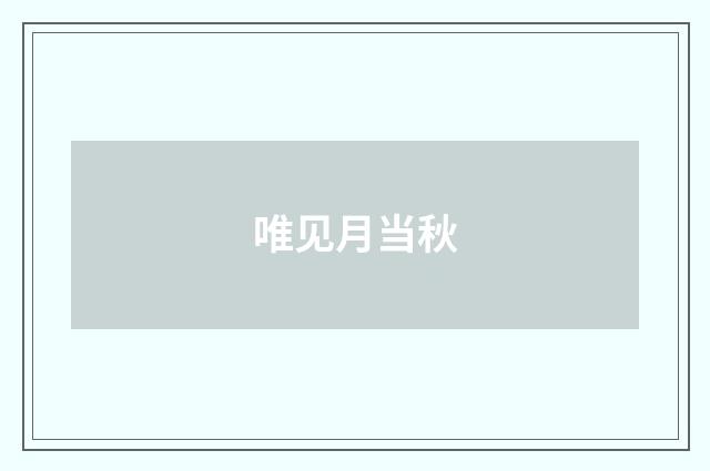 唯见月当秋