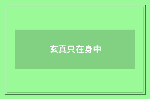 玄真只在身中