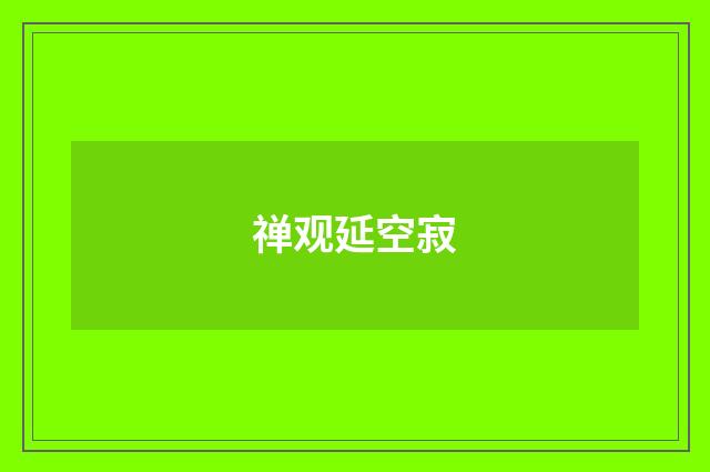 禅观延空寂