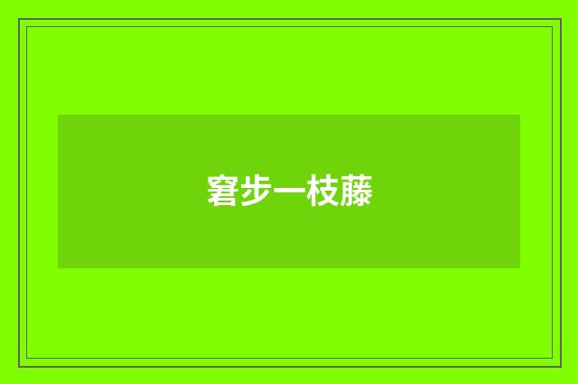 窘步一枝藤
