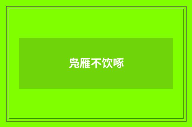 凫雁不饮啄