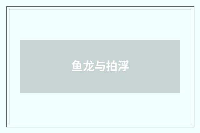 鱼龙与拍浮